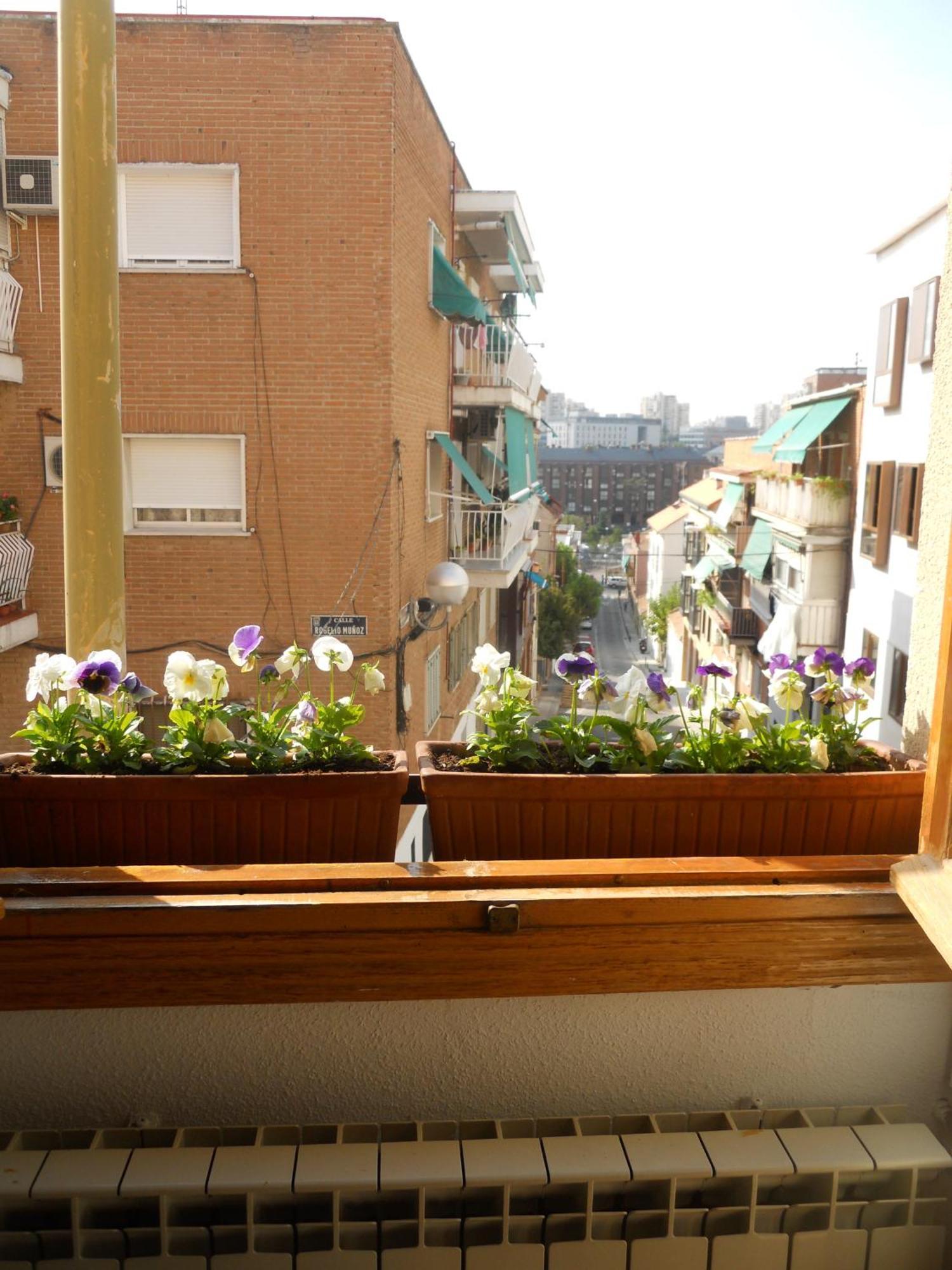 Hostal El Descanso Madri Exterior foto